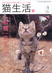 猫生活 1月号 表紙