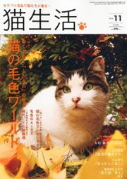 猫生活 10月号 表紙